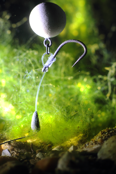 The reverse combi rig underwater, tied with our size 5 Duropoint chod hook