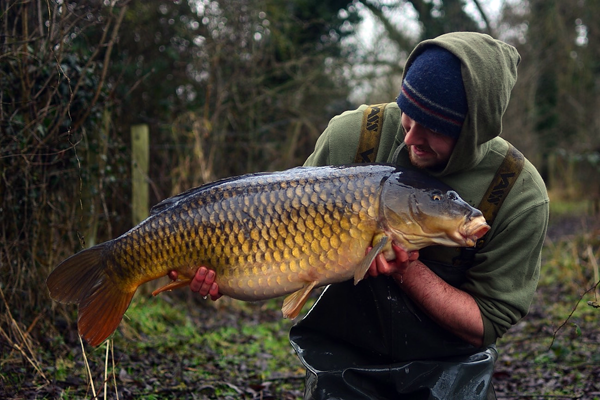 The other side of a stunning berkshire Common for Dan Handley