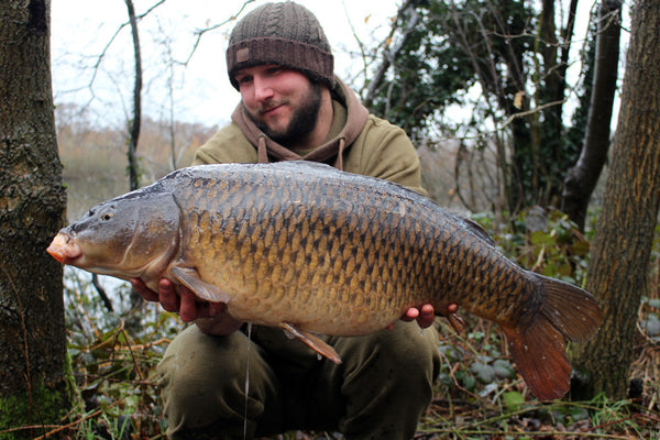 Another immaculate Sandhurst lake Common