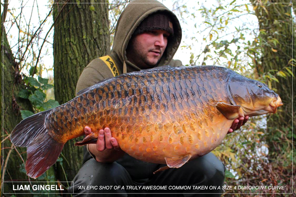 Liam Gingell with an epic common caught on a Size 4 Duropoint Curve shank