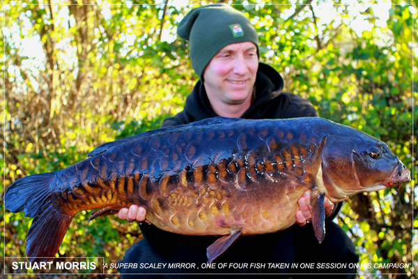 An incredible carp - part of a four fish catch for Stuart Morris