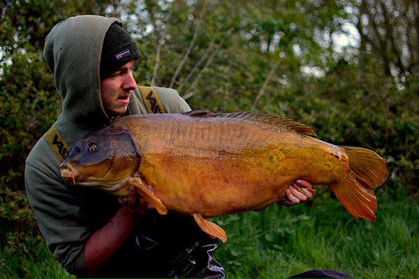 A Dinton pastures white swan original of 33lb's for Dan Handley