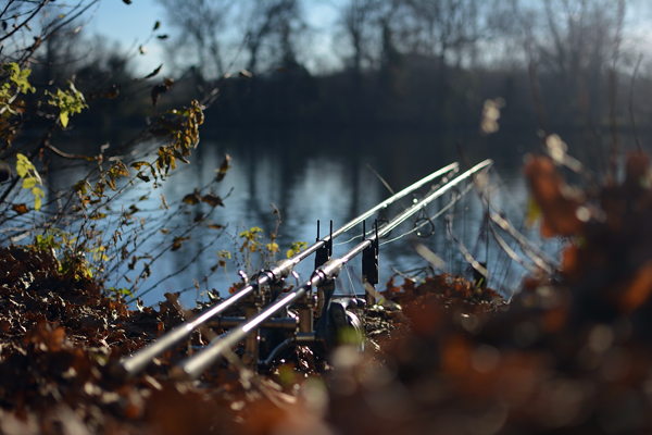 Dan Handley set up in the snags knowing they had produced Carp the previous winter