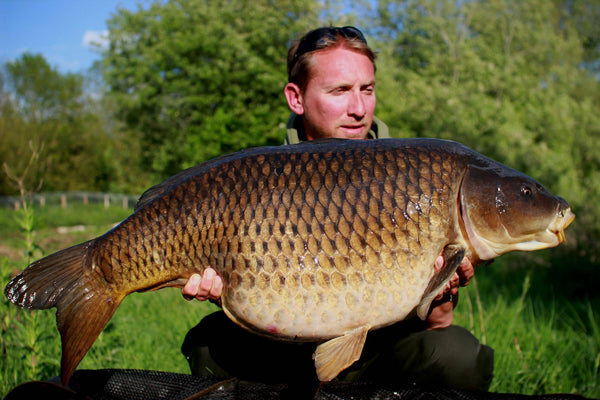 Belting Farriers common for Stuart Morris