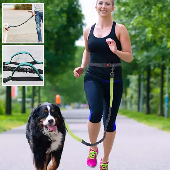 Laisse_chien_footing_JappyToutou.com