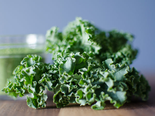The difference between air-dried and freeze-dried kale powders.