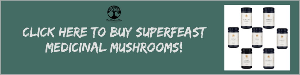 buy superfeast adaptogenic mushrooms