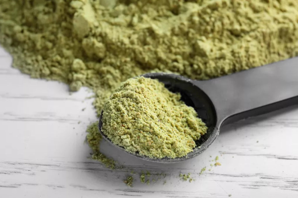 Hemp Protein Powder: Benefits and Protein Comparison