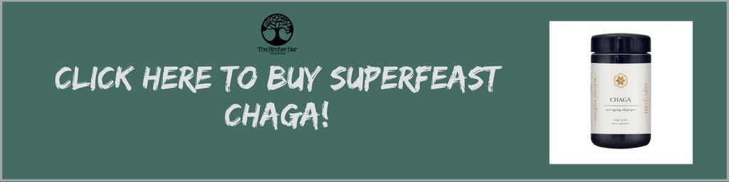 Buy SuperFeast Chaga