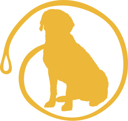 Eezapet - the yellow dog
