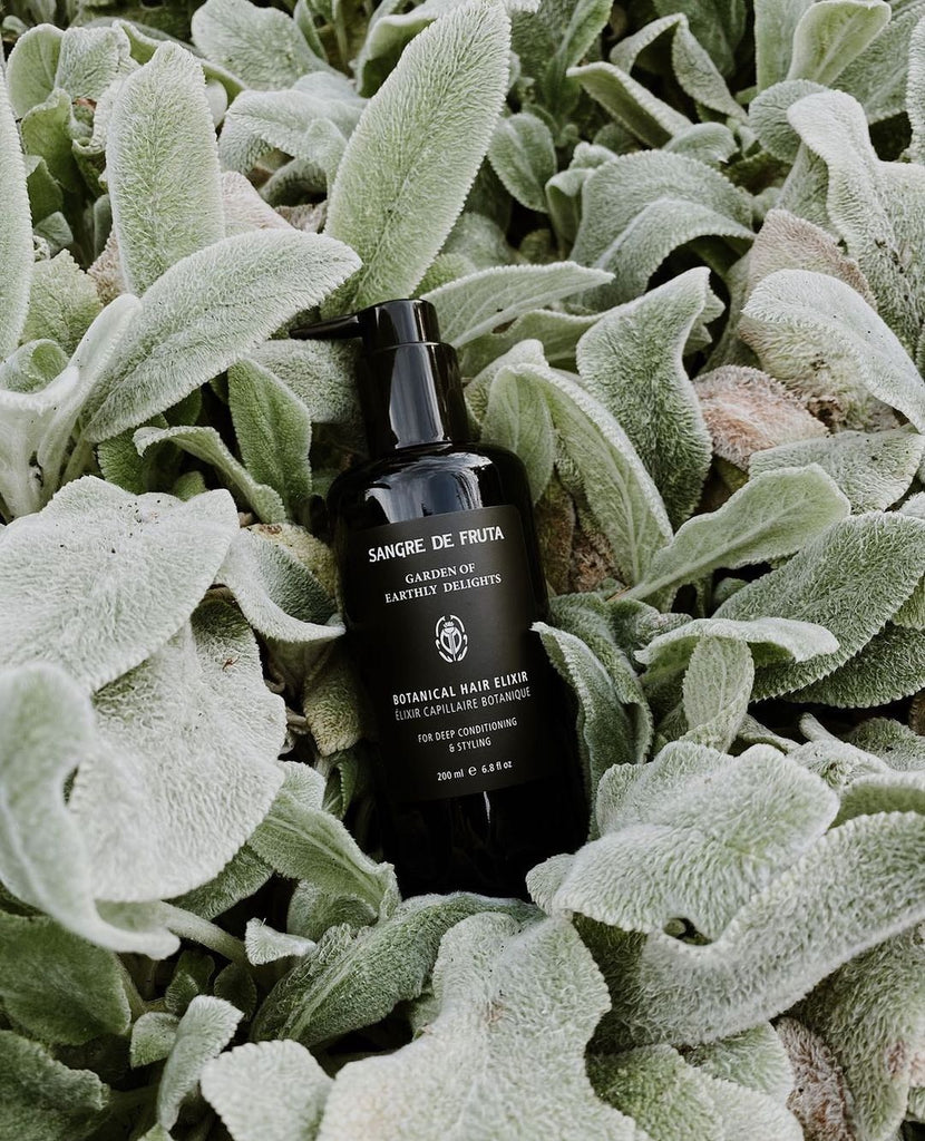 botanical hair elixir by sangre de fruta in black packaging with a pump lays on light green leaves (on sage leaves)