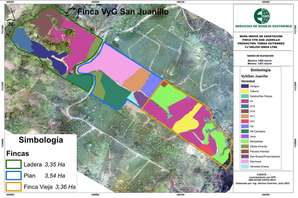 Costa Rica San Juanillo coffee farms