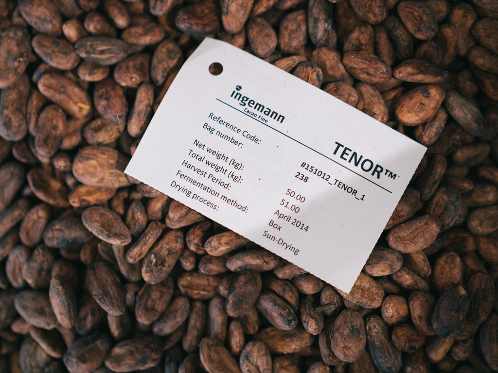 Nicaragua Cacao