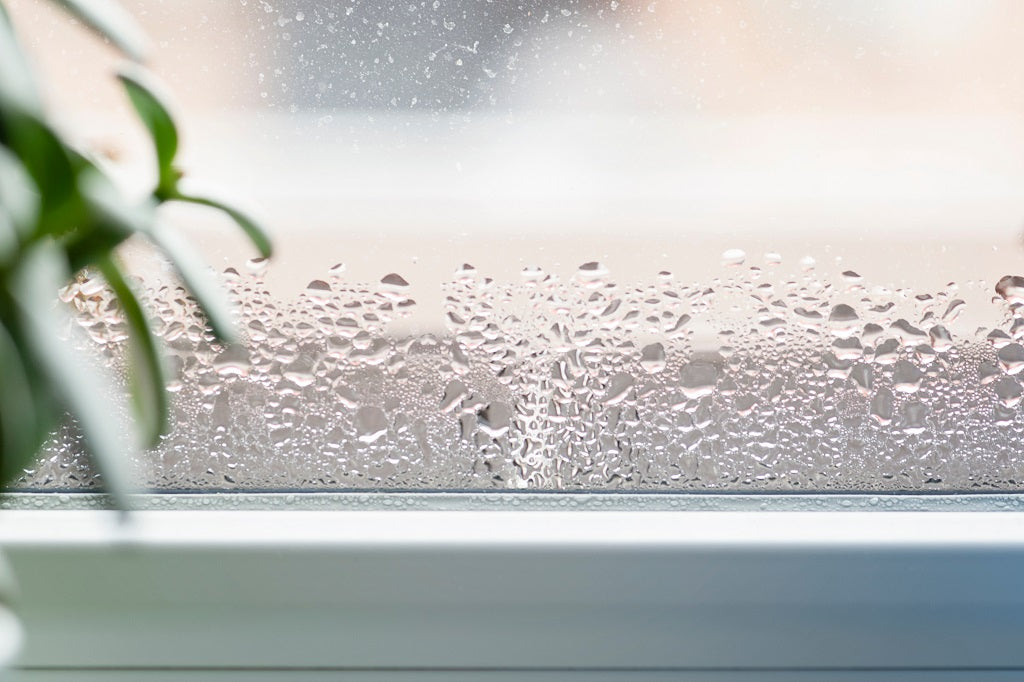 7 Signs Your Home Needs a Dehumidifier