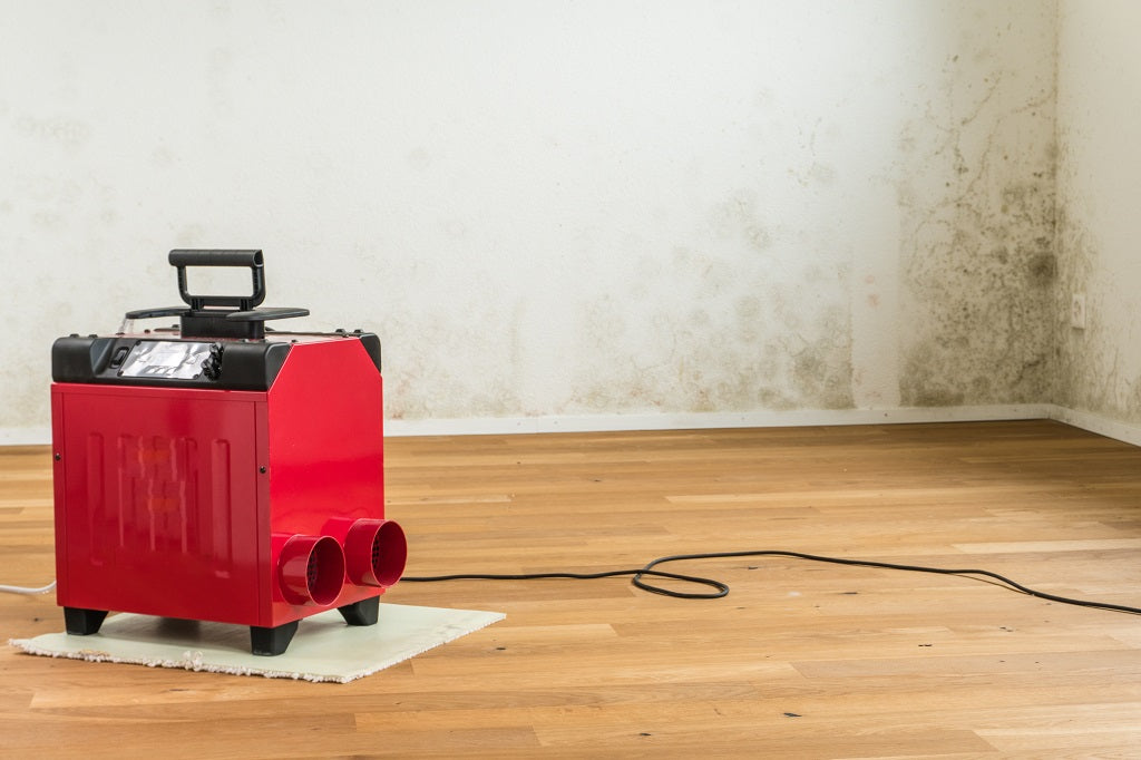 Best Types Of Dehumidifiers