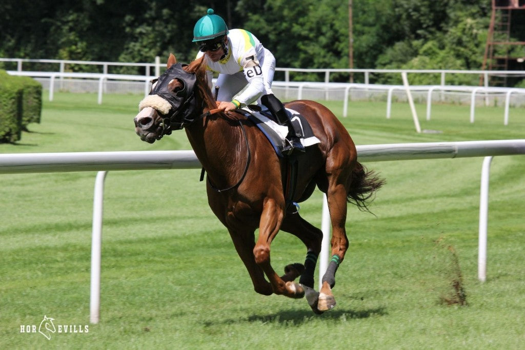 a horse running though a course