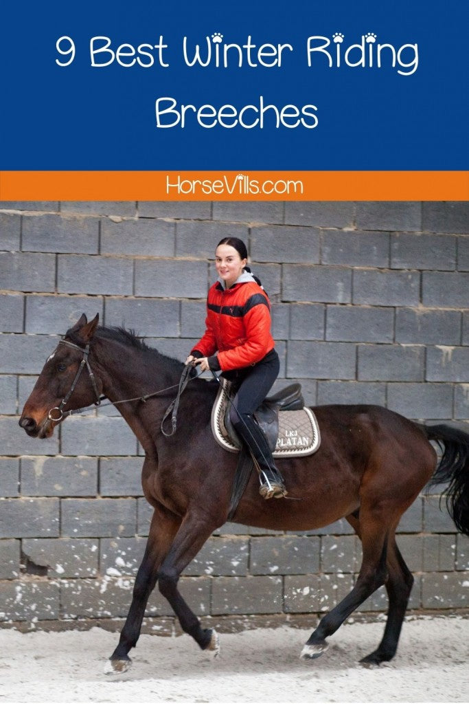 smiling lady riding her horse while wearing the best winter riding breeches