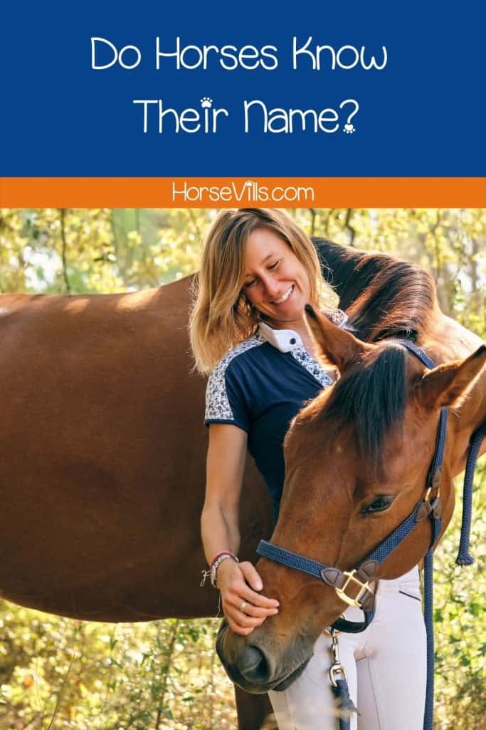 lady cuddling with her adorable horse