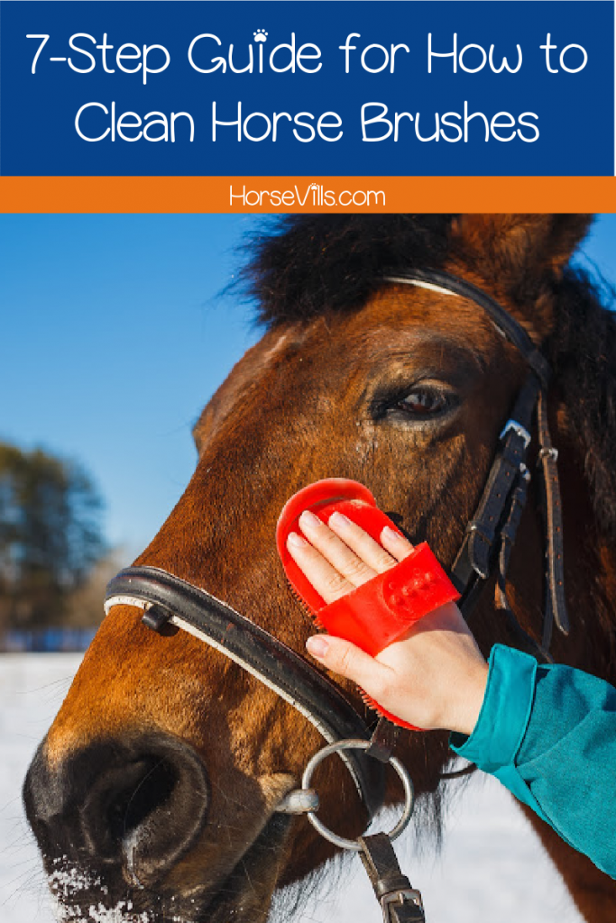 Wondering how to clean horse brushes? We've got you covered! Check out our step-by-step guide to cleaning natural and synthetic brushes.