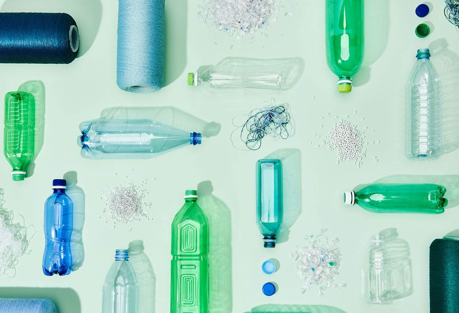 Eco Alert: Plastic Water Bottles | Rothy's