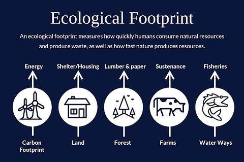 factors that impact your ecological footprint