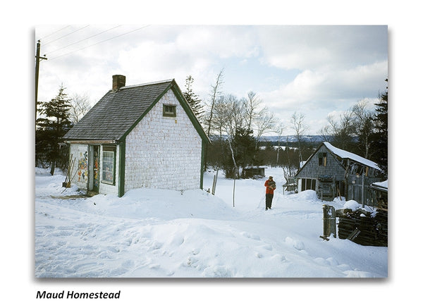 Maud Lewis Postcard Art Gallery of Nova Scotia