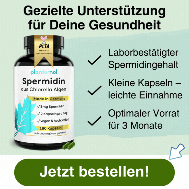 Spermidin aus Chlorella Algen
