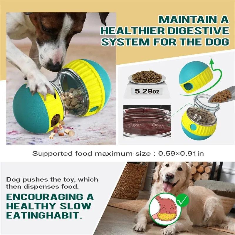 Dog Leaky Food Ball Toy Tumbler Elliptical Track Rolling Ball Slowly Feeding Protects Stomach Increase Intelligence Pet Supplies - littlepawgive