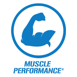 muscle performance | gym supplements u.s