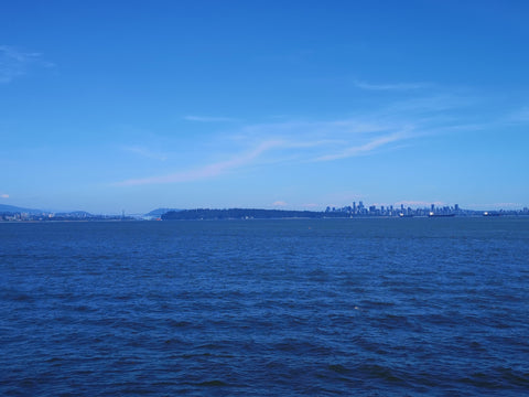 Vancouver skyline