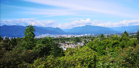 Queen Elizabeth Park view