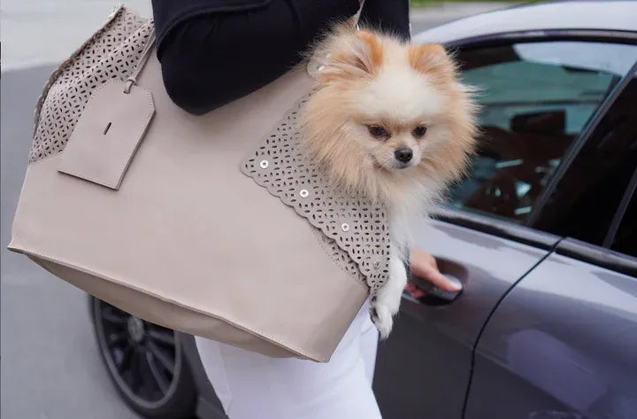 dog carrier bag accessory