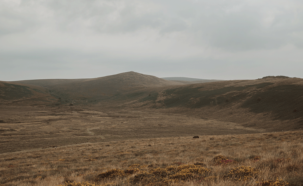 Dartmoor inspiration