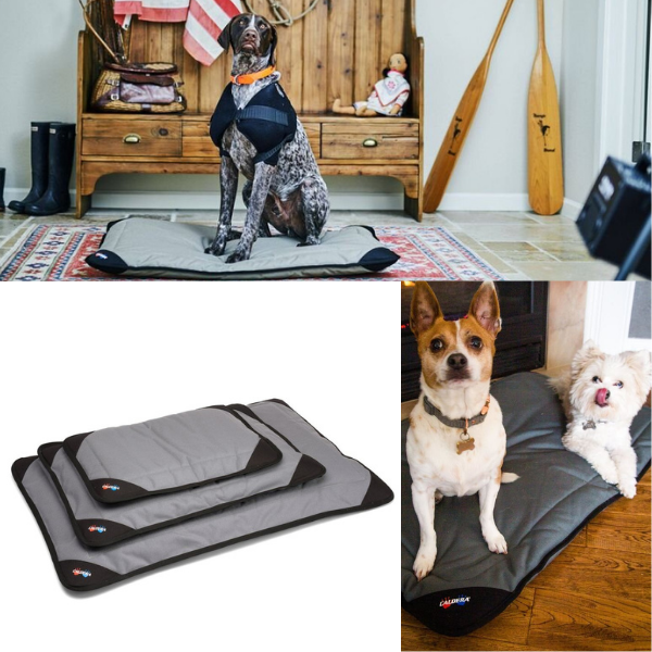 heated pet beds for dogs