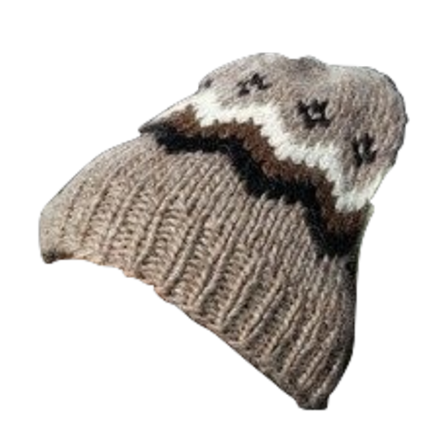 brown wool hat