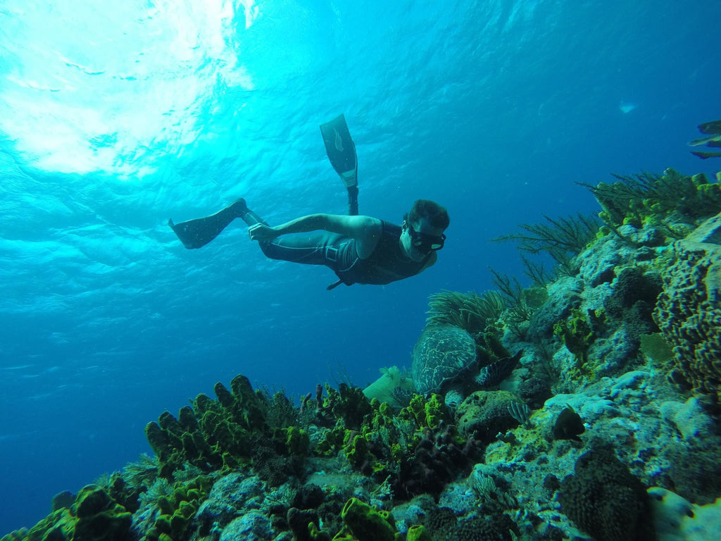 Spierre Custom Carbon fins, Luis Fonseca, Carlos Coste, Freedive Bonaire, Saba Freediving