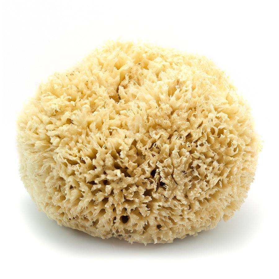 Caribbean Natural Sea Wool Sponge, 7