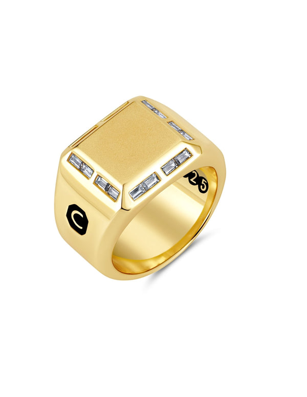 Gentleman's Large Oval Signet Ring – FANCI Fine Jewellery