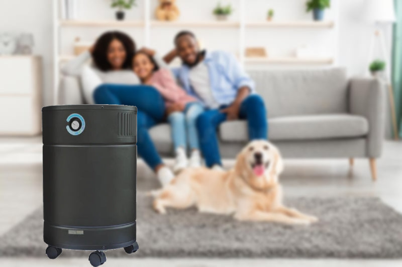 Air Purifier in Family Room