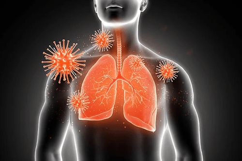 Coronavirus Lungs