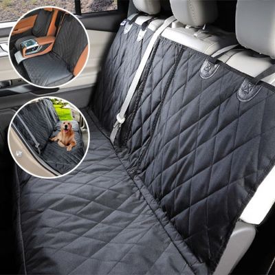 protection voiture chien exemple utilisation