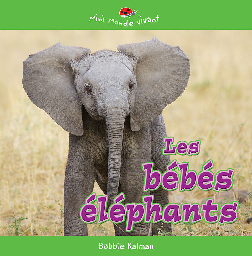 Les bébés éléphants