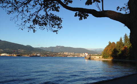 Stanley Park