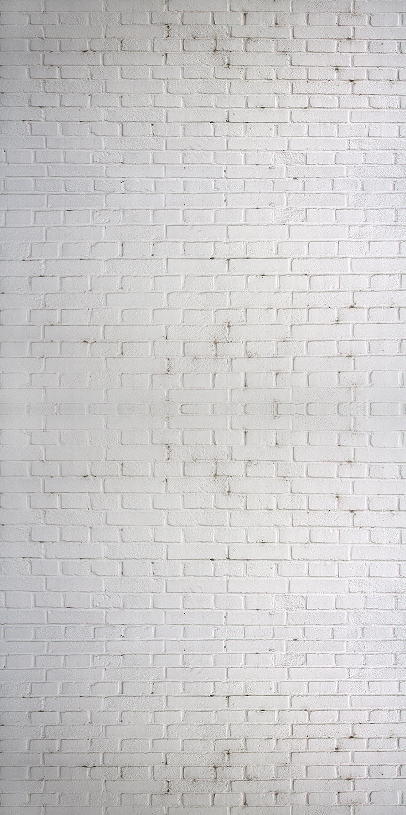 seamless white brick wall