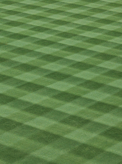Mowed Stadium Grass Printed Backdrop - 102