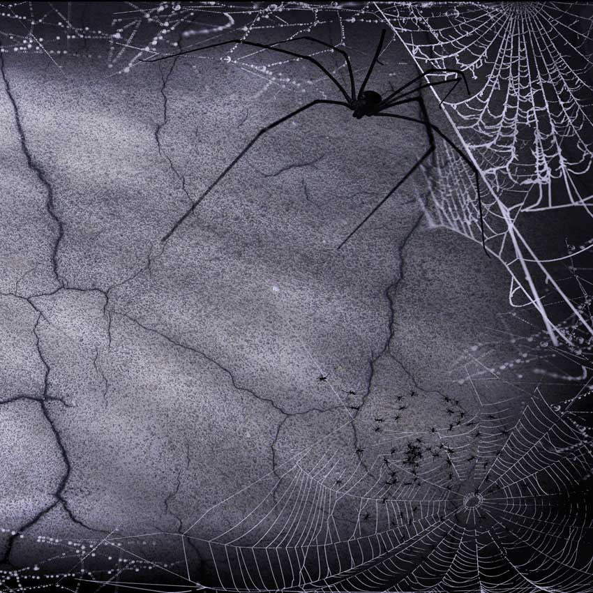 halloween spider web