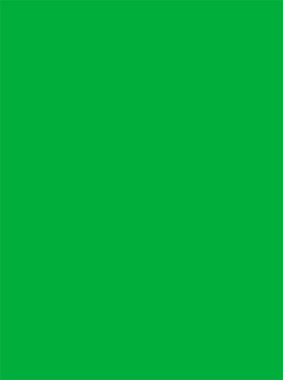 chroma green studio printed background green screen backdrop – Backdrop  Outlet