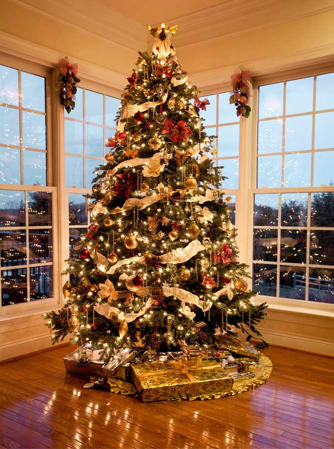 Christmas Tree Large Windows Backdrop 7817 Backdrop Outlet