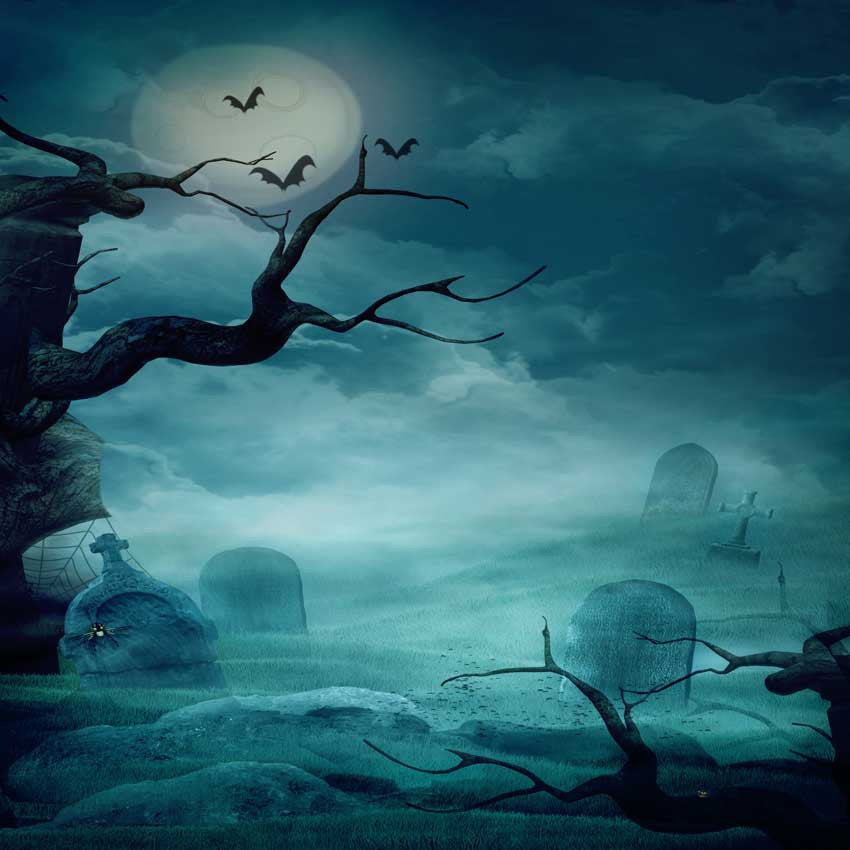 Printed Haunted Spooky Night Backdrop - 9209 – Backdrop Outlet