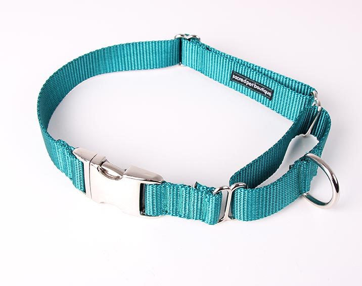 Everyday Clip Martingale Dog Collar Sacred Pet Boutique